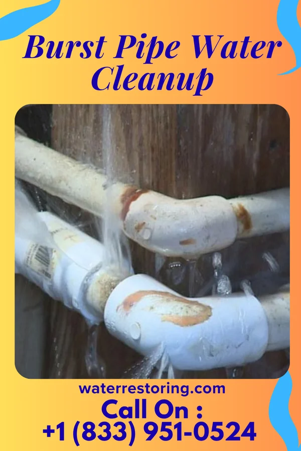 Burst Pipe Water Cleanup in St. Henry, OH