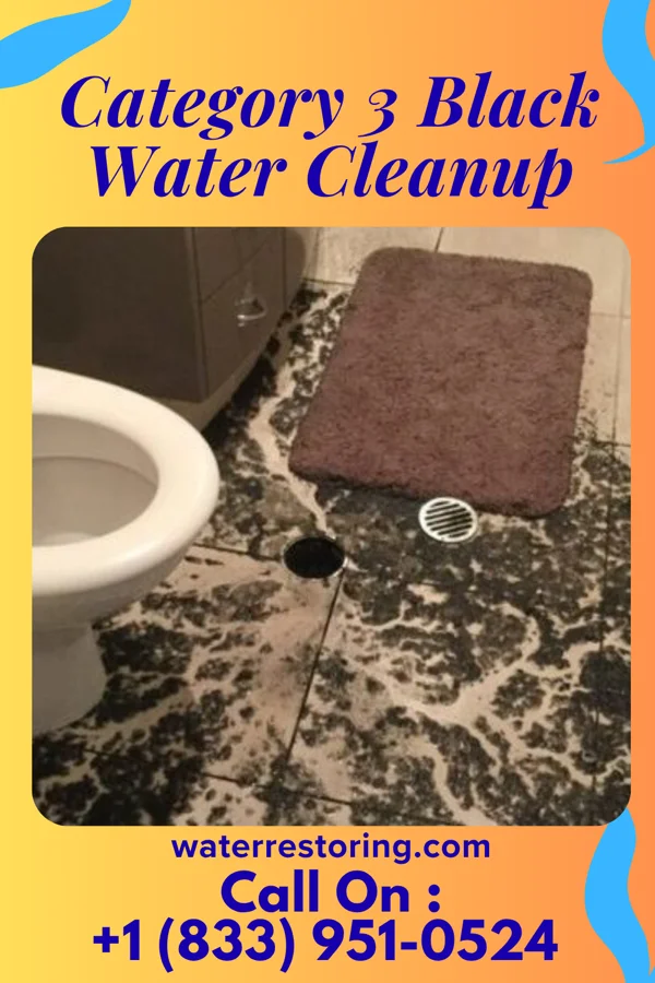 Category 3 Black Water Cleanup in St. Henry, OH