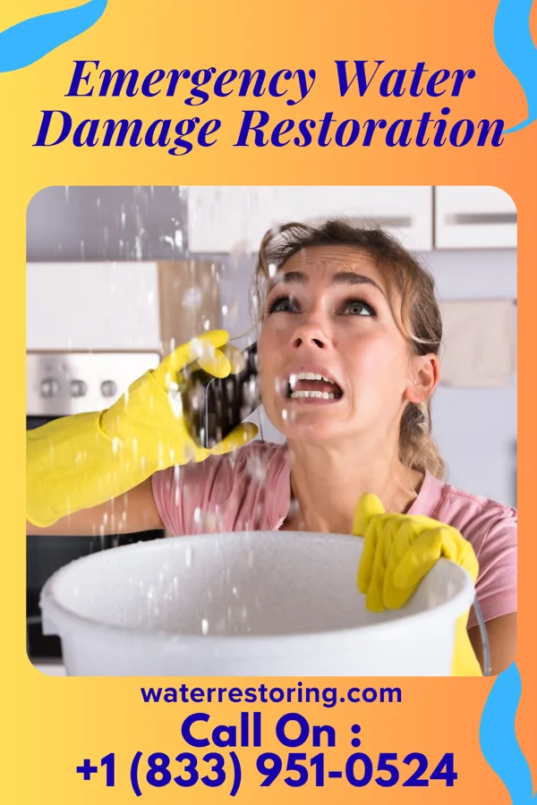 Emergency Water Damage Restoration in St. Henry, OH