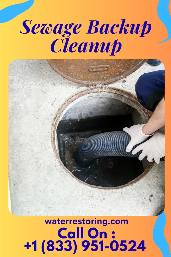 Sewage Backup Cleanup in St. Henry, OH