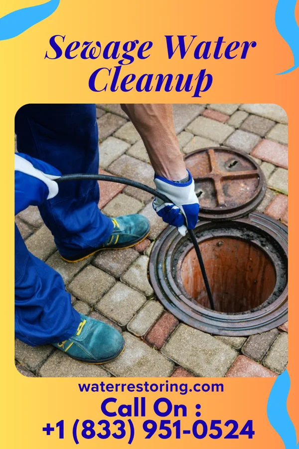 Sewage Water Cleanup in St. Henry, OH