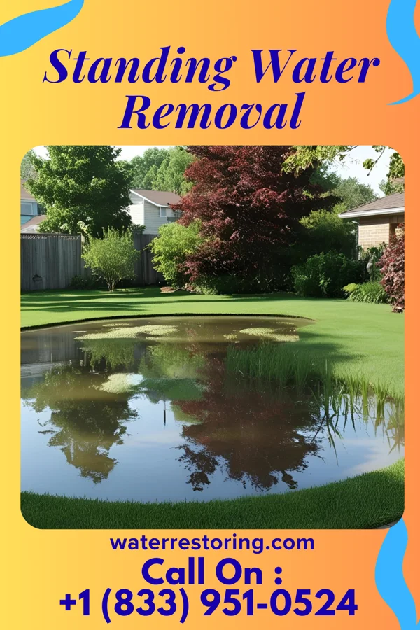 Standing Water Removal in St. Henry, OH
